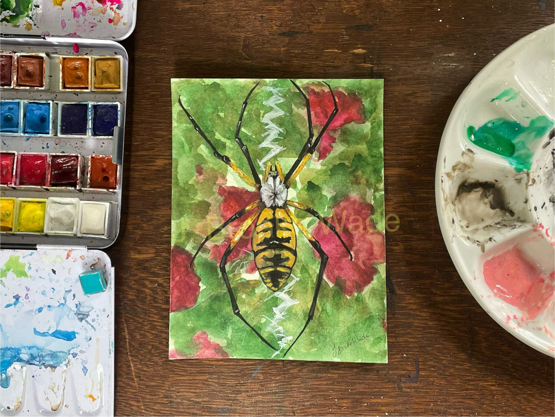 Nature art of garden spider, "Memories"