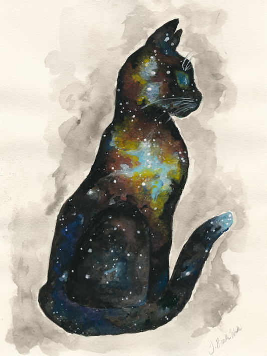 Galaxy Cat (3)