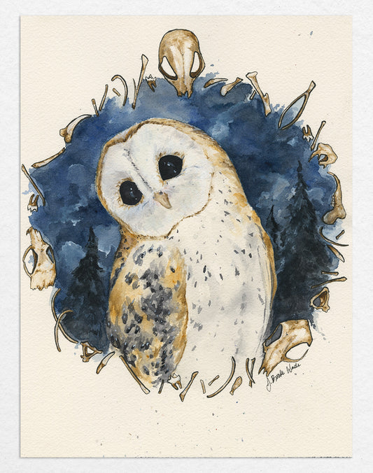 Nature art print of a barn owl by J. Brooke Wade, surrounded by bones and a serene night sky