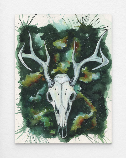 White-tailed deer painting by J. Brooke Wade, showcasing a male deer skull with antlers in watercolor
