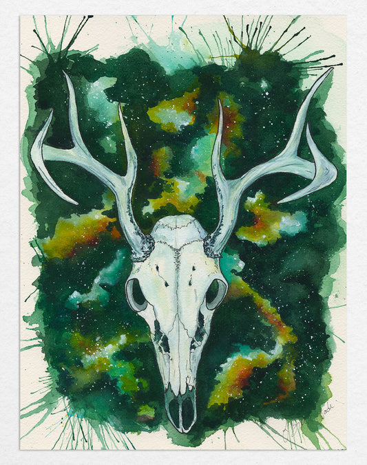 White-tailed deer painting by J. Brooke Wade, showcasing a male deer skull with antlers in watercolor