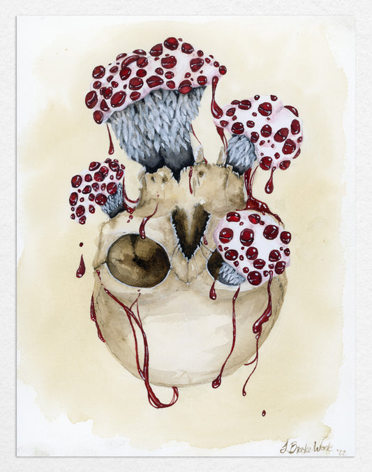 "Devil's Tooth" watercolor painting featuring skull and mushroom by J. Brooke Wade.