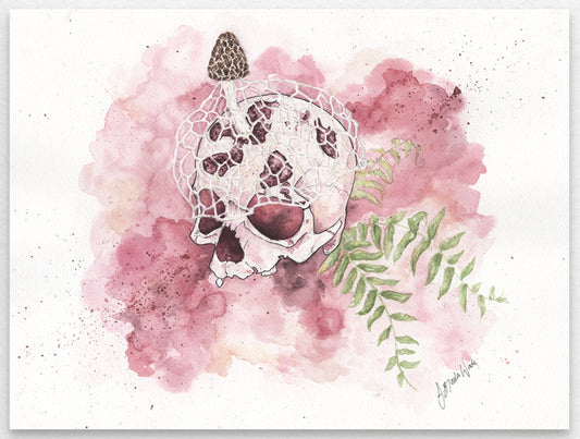 Feminine art featuring a skull and Bridal Veil mushroom, perfect for delicate wall decor.