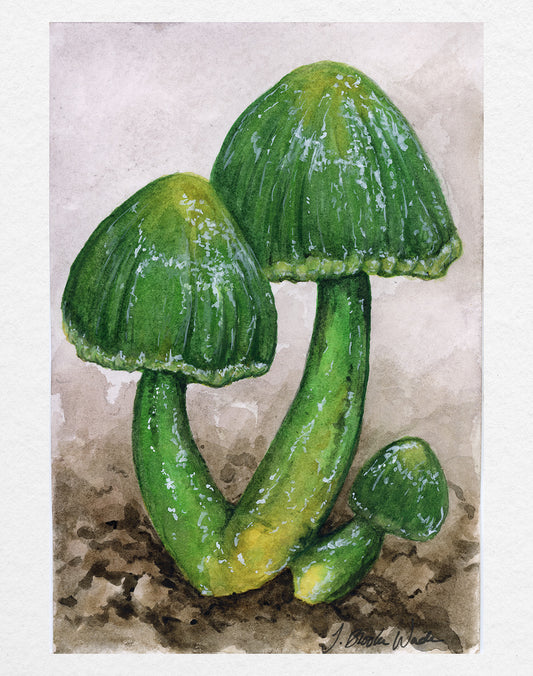 Vivid watercolor print of parrot toadstool, showcasing vibrant greens and yellows in a natural setting